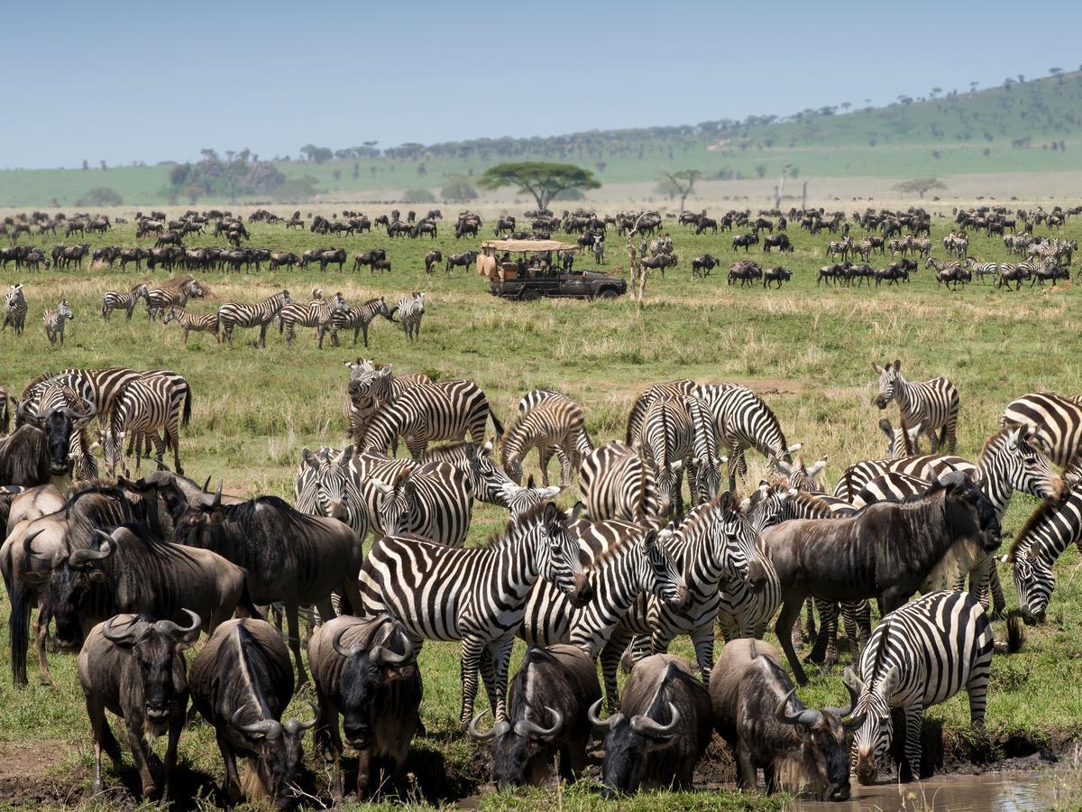 One Nature Nyaruswiga Serengeti Banagi المظهر الخارجي الصورة