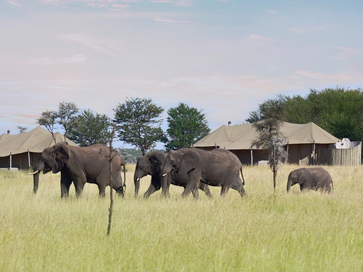 One Nature Nyaruswiga Serengeti Banagi المظهر الخارجي الصورة